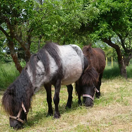 公寓 Naehe Seenlandschaft - Belantis