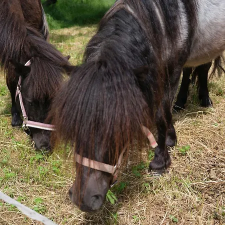 Apartment Nahe Der Leipziger Seenlandschaft *