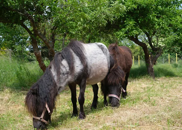 Apartment Nahe Der Leipziger Seenlandschaft