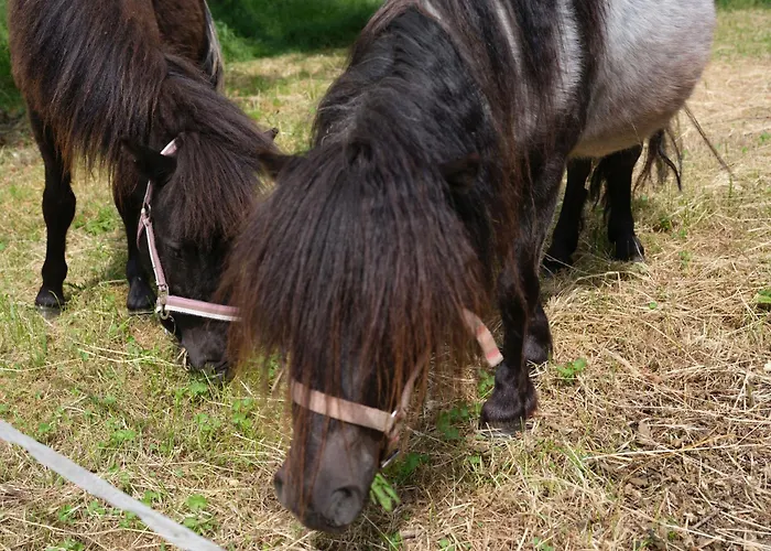 Apartment Nahe Der Leipziger Seenlandschaft *
